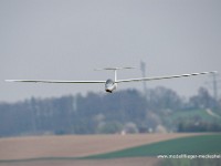 DSC 1137