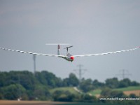 DSC 1461