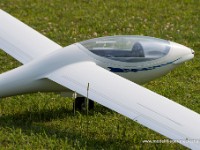 DSC 1531